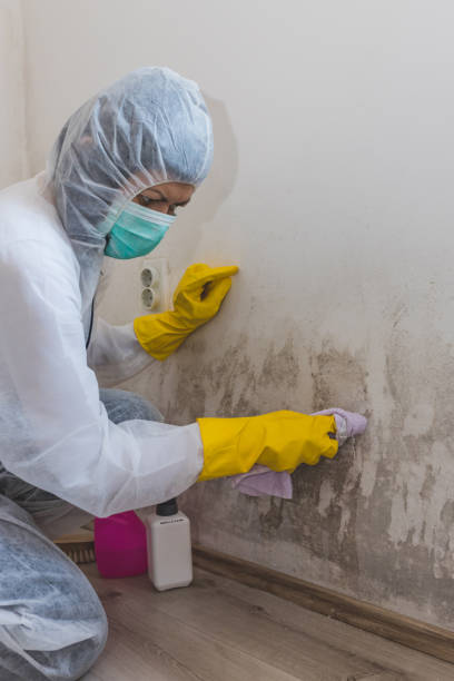 Best Water Damage & Mold Remediation  in Forest Park, GA
