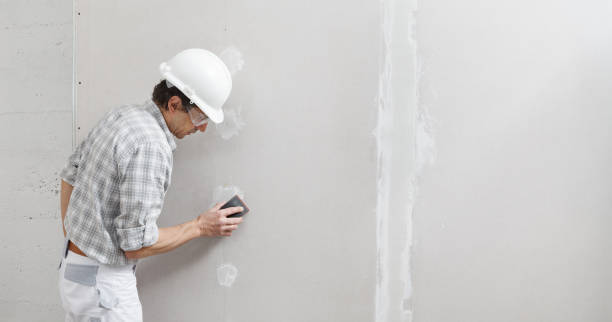 Best Black Mold Removal  in Forest Park, GA