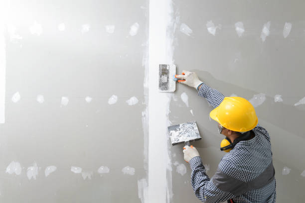 Trusted Forest Park, GA Mold Removal Experts