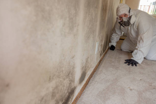Best Residential Mold Inspection & Testing  in Forest Park, GA