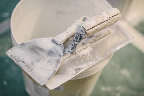 Best Mold Removal for HVAC Installations  in Forest Park, GA